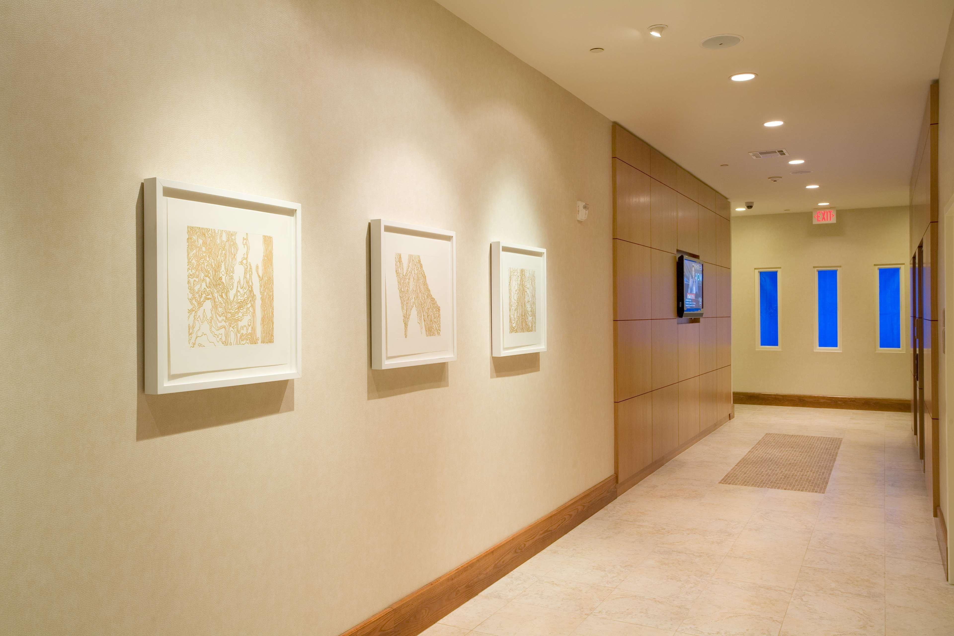 Hotel Hilton Garden Dallas 3*
